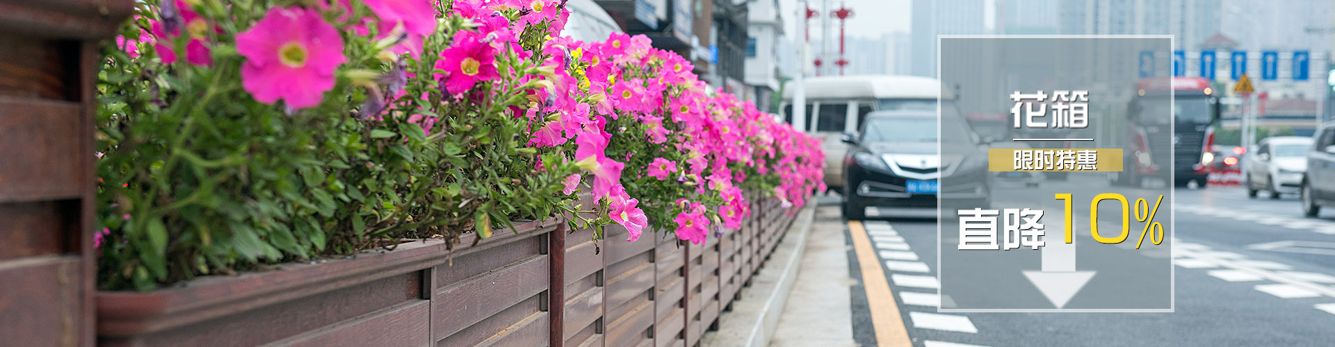 鋁合金花箱|PVC花箱|不銹鋼花箱-杰欣園藝 - 產(chǎn)品展示